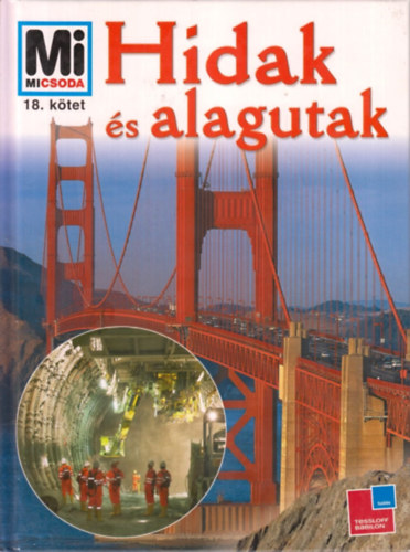 Rainer Kthe - Hidak s alagutak