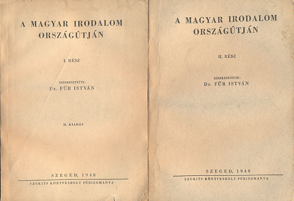 Fr Istvn Dr.  (szerk.) - A magyar irodalom orszgtjn I-II.