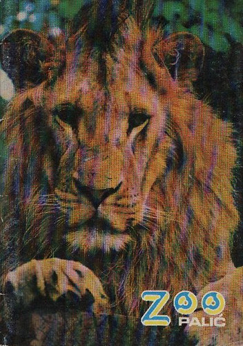 Karlo Kopunov - Zoo Palic