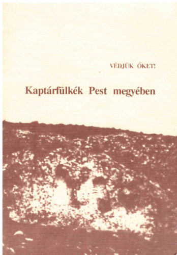 Dr. Balzs Istvn; Dr. Halsz rpd - Kaptrflkk Pest megyben