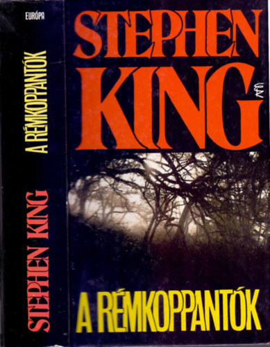 Stephen King - A rmkoppantk