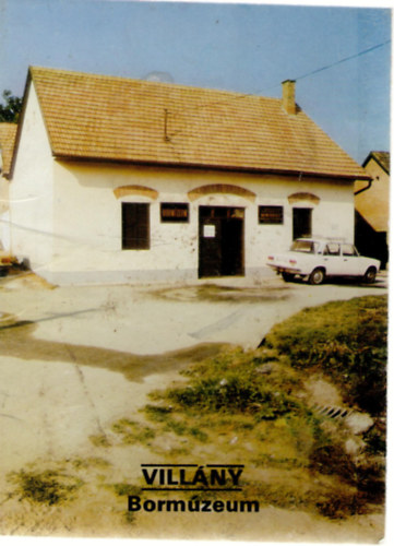 F�zes Endre  (szerk.) - Vill�ny - Borm�zeum (T�jak-Korok-M�zeumok Kisk�nyvt�ra 288. sz�m)