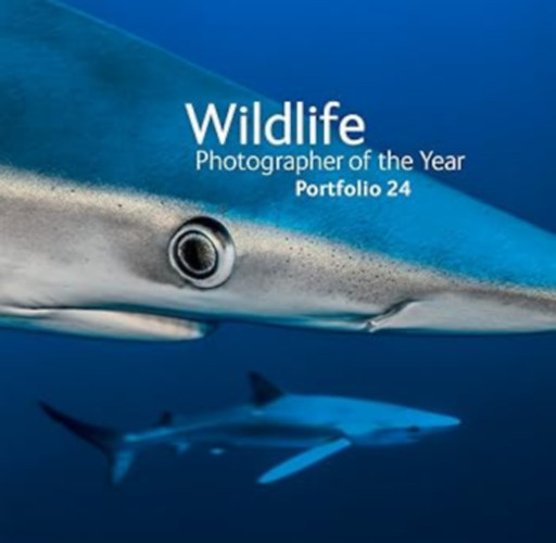 Wildlife Photographer of the Year: Portfolio 24