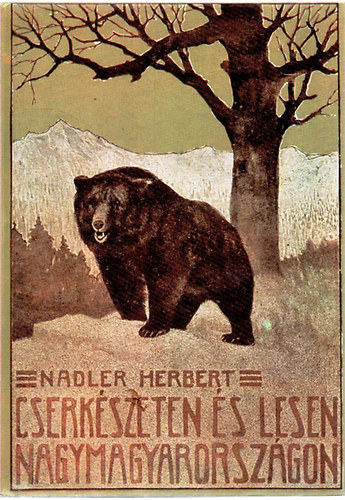 Nadler Herbert - Cserkszeten s lesen Nagymagyarorszgon
