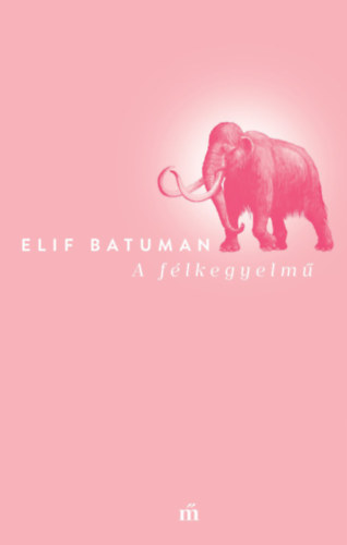 Elif Batuman - A félkegyelmű