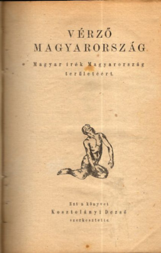 Kosztolnyi Dezs  (szerk.) - Vrz Magyarorszg (I.kiads)
