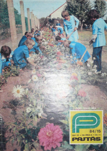 Somos �gnes  (szerk.) - Pajt�s XXXIX. �vfolyam 15. sz�m