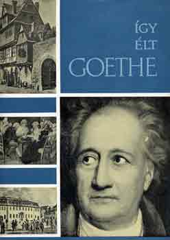 Walkó György - Így élt Goethe