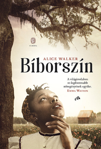 Alice Walker - B�borsz�n