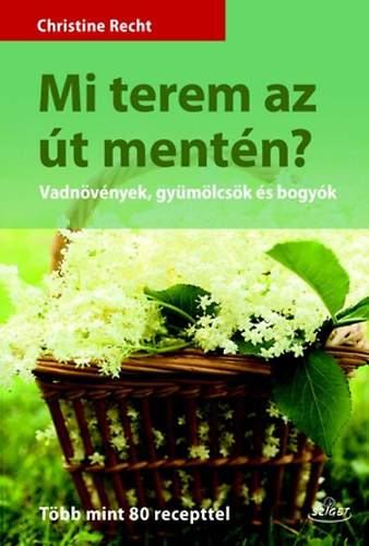 Christine Recht - Mi terem az út mentén?