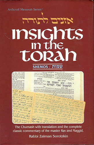 Insights in the torah