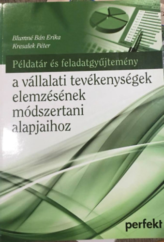 Blumn Bn Erika - Kresalek Pter - Pldatr s feladatgyjtemny a vllalati tevkenysgek elemzsnek mdszertani alapjaihoz