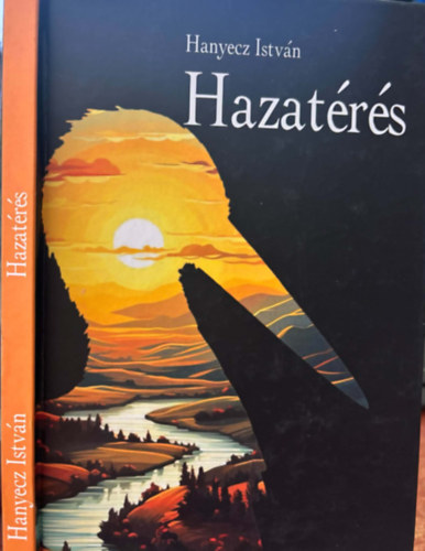 Hanyecz István - Hazatérés