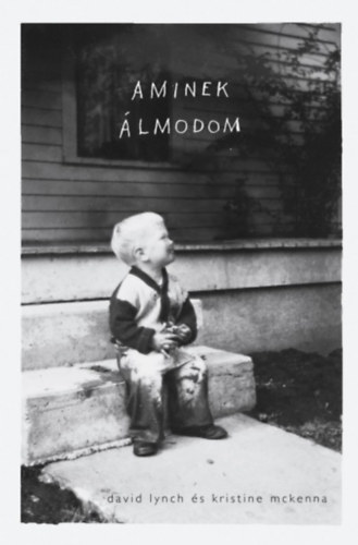David Lynch, Kristine McKenna - Aminek lmodom