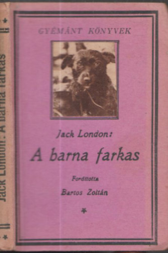 Jack London - A barna farkas (Tolnai Regnytra)