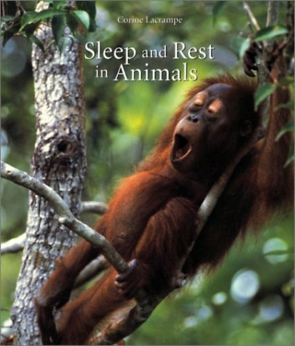 Corine Lacrampe - Sleep and Rest in Animals