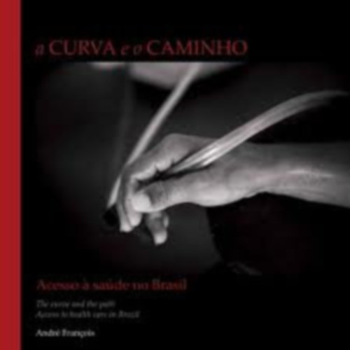 A Curva e o Caminho. Acesso a Sa�de no Brasil