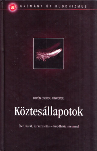 Lopön Csecsu Rinpocse - Köztesállapotok - Élet, halál, újraszületés - buddhista szemmel