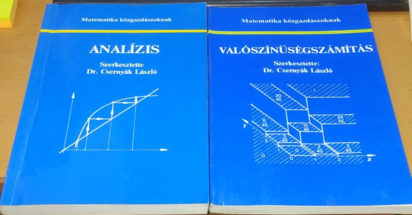 Dr. Csernyk Lszl - Matematika kzgazdszoknak: Analzis + Valsznsgszmts (2 ktet)