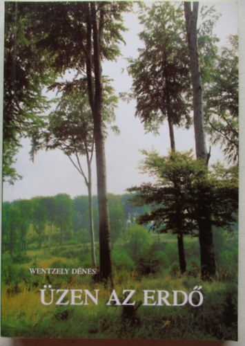 Wentzely Dnes - zen az erd