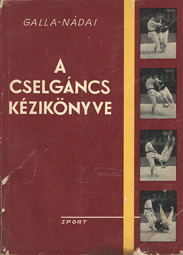 Gallai- Ndai - A cselgncs kziknyve