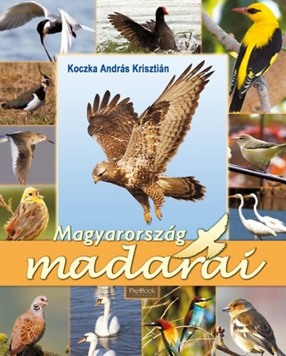 Koczka Andrs Krisztin - Magyarorszg madarai