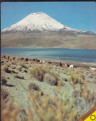 Mar�a Soledad Parada - Sz�k�s az Andokon �t