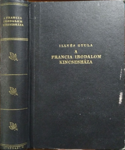 Illy�s Gyula - A francia irodalom kincsesh�za