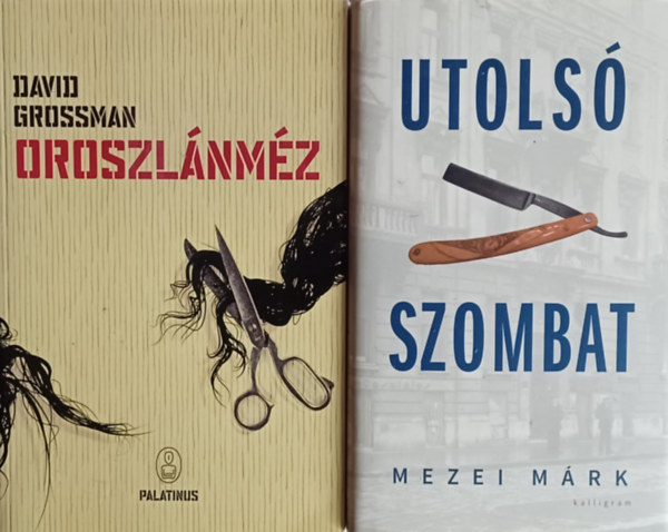 Mezei Mrk David Grossman - Oroszlnmz + Utols szombat (2 m)