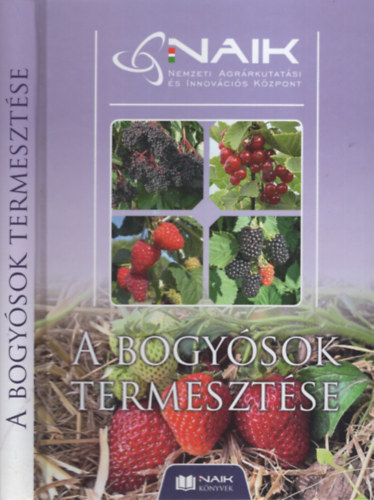 A bogysok termesztse