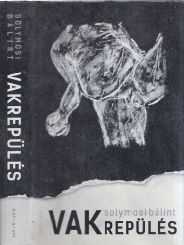 Solymosi Blint - Vakrepls