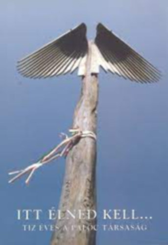 Itt lned kell... Tz ves a Palc Trsasg