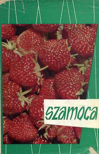 Sim�nek-Cvopov� - Szam�ca