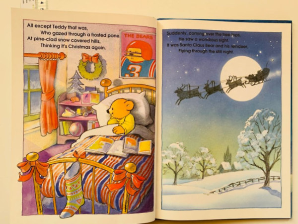 Teddy and Santa's Sleigh Ride