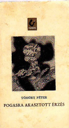 Tmry Pter - Fogasra akasztott rzs