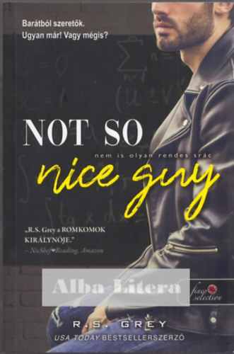 R.S. Grey - Not So Nice Guy - Nem is olyan rendes src