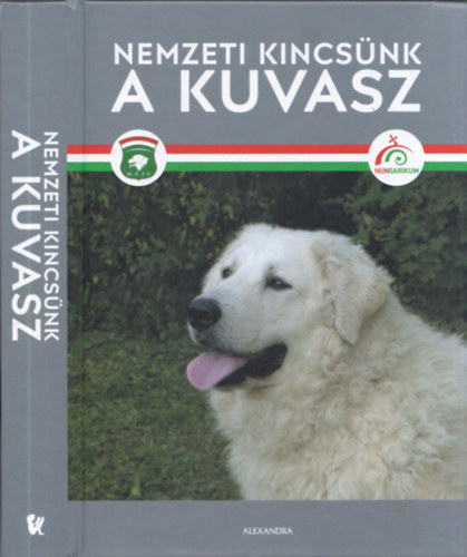 Nemzeti kincsünk a kuvasz