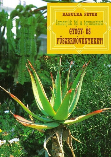 Babulka Péter - Ismerjük fel a termesztett gyógy-és fűszernövényeket