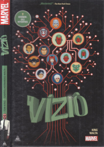 Gabriel Hernandez Walta  Tom King (rajz), Michael Walsh (rajz) - A Vzi (kpregny)