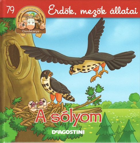 A sólyom (Csodatanya 79. - Erdők, mezők állatai)
