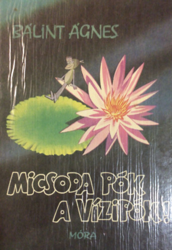 Blint gnes - Micsoda pk a vzipk!