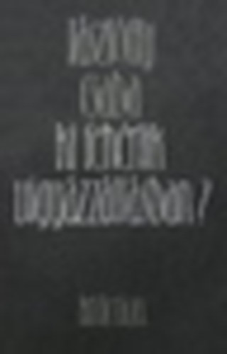 Lszlffy Csaba - Ki fehrlik vigyzzllsban?