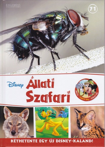 llati szafari 71