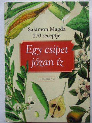 Salamon Magda - Egy csipet j�zan �z - Salamon Magda 270 receptje