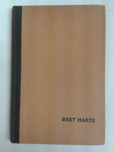 Bret Harte - Egy bnya trtnete