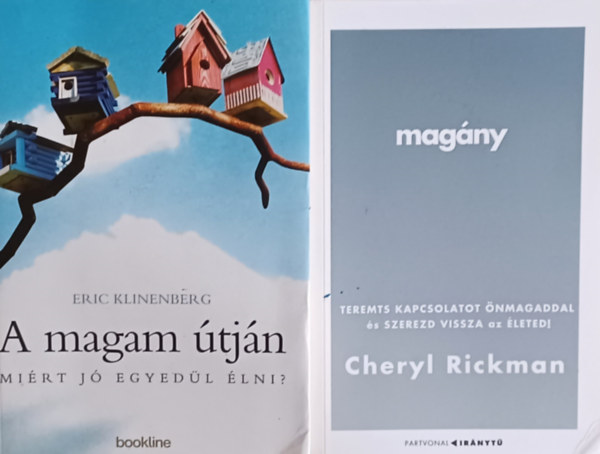 Cheryl Rickman Eric Klinenberg - A magam tjn - Mirt j egyedl lni? + Magny - Teremts kapcsolatot nmagaddal s szerezd vissza az leted! (2 m)