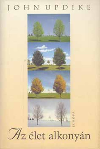 John Updike - Az let alkonyn