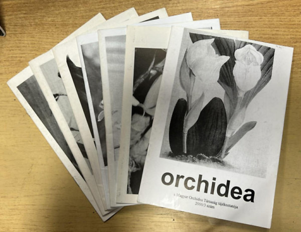 7 db Orchidea - A Magyar Orchidea T�rsas�g t�j�koztat�ja