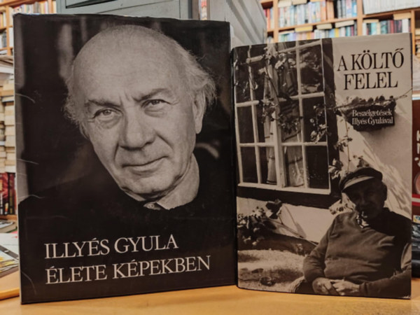 Illy�s Gyul�n�, Sz�nt� Tibor, F�ldes Anna Illy�s Gyula - 2 db A k�lt� felel (Besz�lget�sek Illy�s Gyul�val) + Illy�s Gyula �lete k�pekben