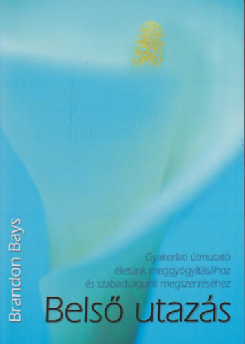 Brandon Bays - Bels� utaz�s gyerekekkel - A gyermekedben rejl� csod�latos lehet�s�gek felszabad�t�sa